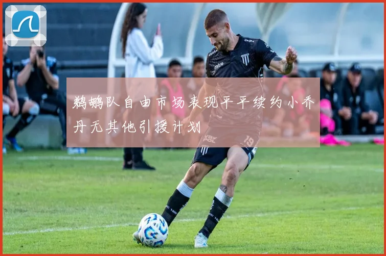 鹈鹕队自由市场表现平平续约小乔丹无其他引援计划